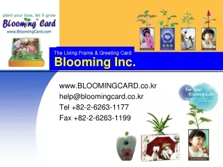 Blooming Inc.