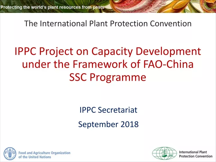 the international plant protection convention