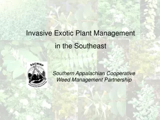 Invasive Exotic Plant Management  in the Southeast