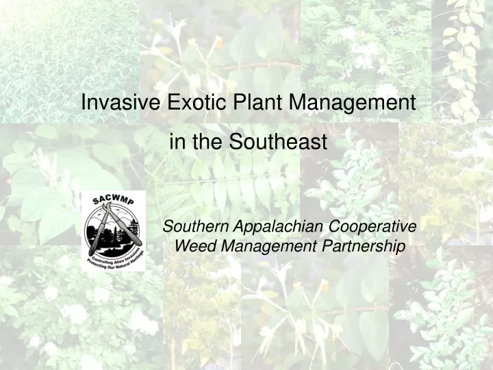 invasive exotic plant management in the southeast