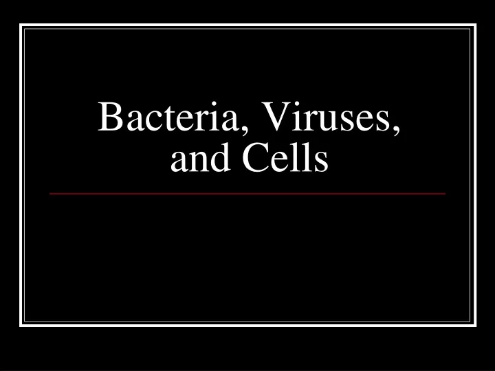 bacteria viruses and cells
