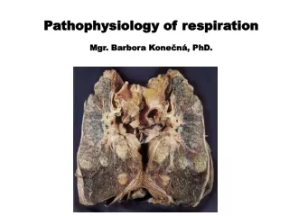 Pathophysiology of respiration Mgr. Barbora Konečná, PhD.