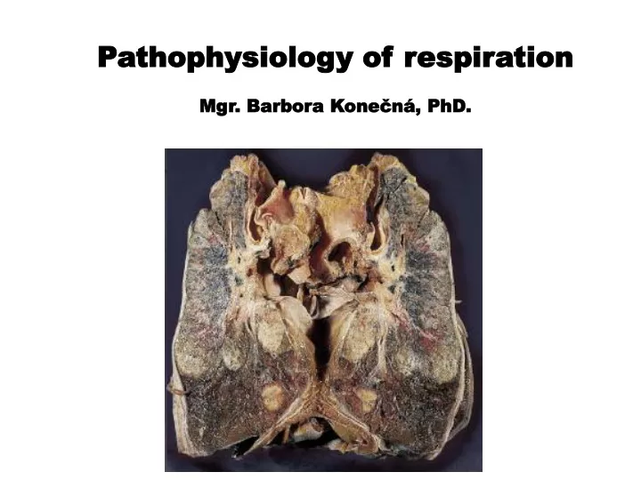 pathophysiology of respiration mgr barbora kone