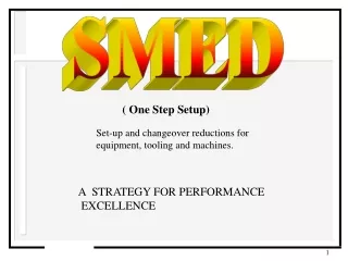 A  STRATEGY FOR PERFORMANCE  EXCELLENCE