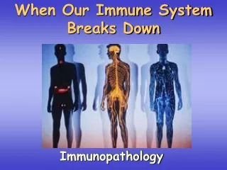 When Our Immune System Breaks Down