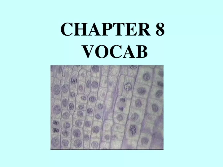 chapter 8 vocab