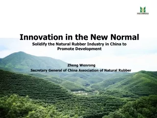 Zheng Wenrong  Secretary General of China Association of Natural Rubber