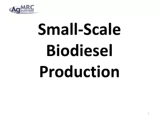 Small-Scale Biodiesel Production