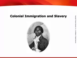 Colonial Immigration and Slavery