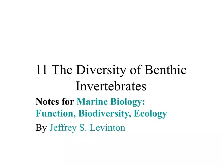 11 the diversity of benthic invertebrates