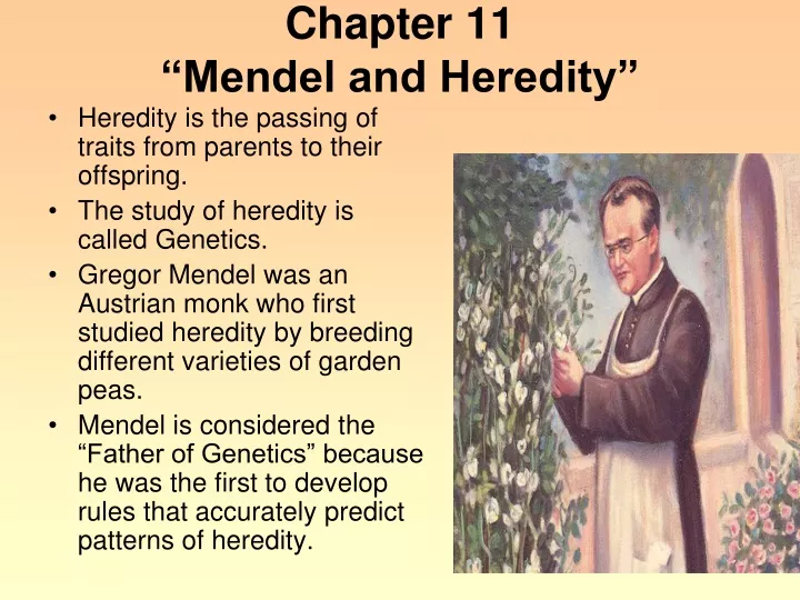 chapter 11 mendel and heredity