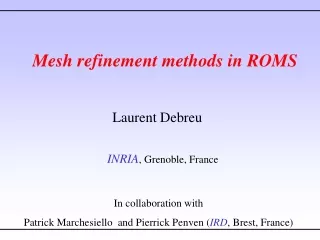 Mesh refinement methods in ROMS