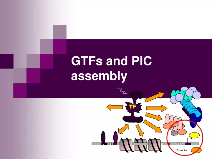 gtfs and pic assembly