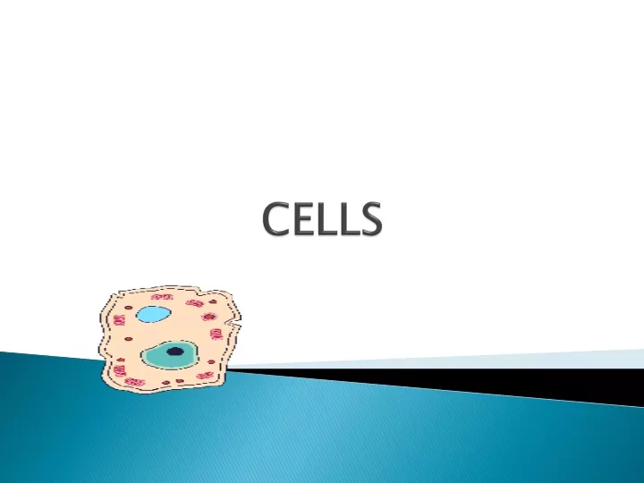 cells