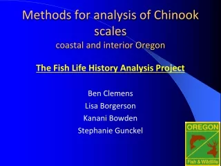 Methods for analysis of Chinook scales coastal and interior Oregon