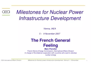 Milestones for Nuclear Power Infrastructure Development Vienna, IAEA  5 –  9 November 2007