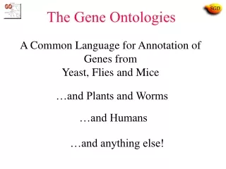 The Gene Ontologies