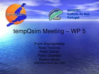 tempQsim Meeting – WP 5