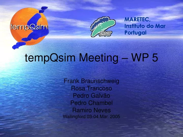 tempqsim meeting wp 5