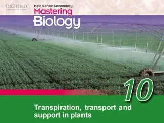 Think about… 10.1 Transpiration 10.2 Transport in flowering plants 10.3	 Support in plants