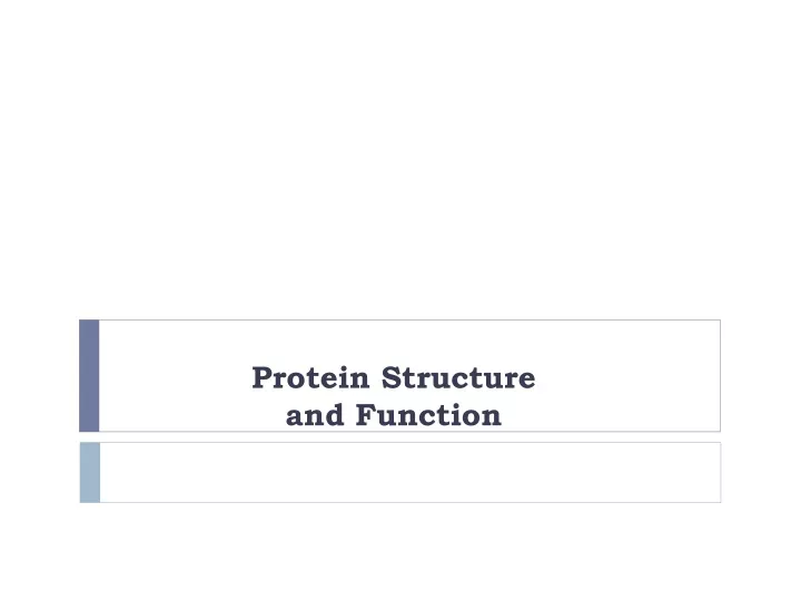 protein structure and function