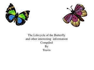The Lifecycle of the Butterfly  and other interesting  information Compiled  By Travis
