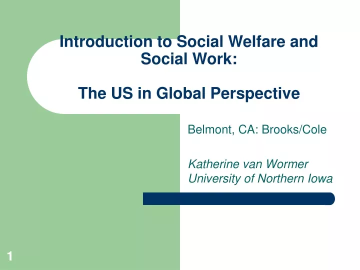 introduction to social welfare and social work the us in global perspective