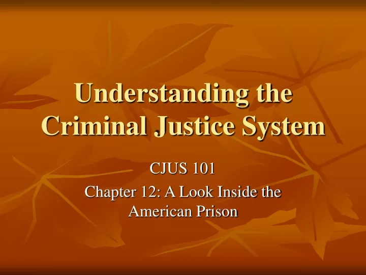 understanding the criminal justice system