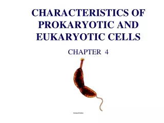 CHARACTERISTICS OF PROKARYOTIC AND EUKARYOTIC CELLS