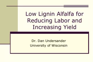 Low Lignin Alfalfa for Reducing Labor and Increasing Yield