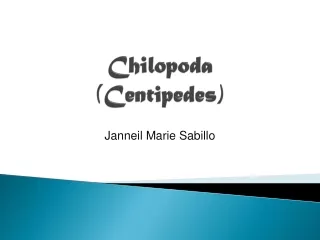 Chilopoda (Centipedes)