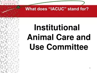 What does “IACUC” stand for?