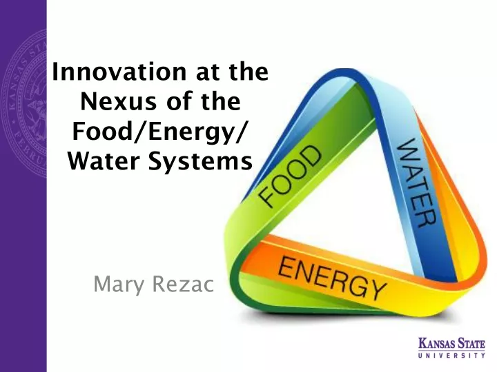 innovation at the nexus of the food energy water systems