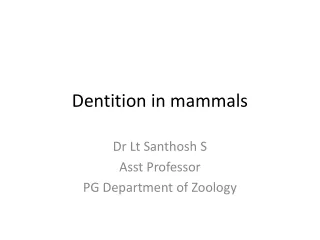 Dentition in mammals