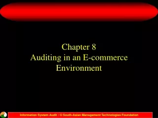 Chapter 8 Auditing in an E-commerce Environment