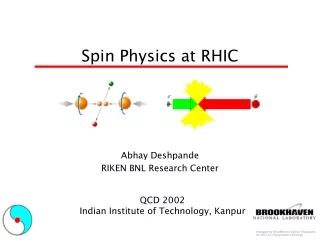 Spin Physics at RHIC