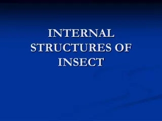 INTERNAL STRUCTURES OF INSECT