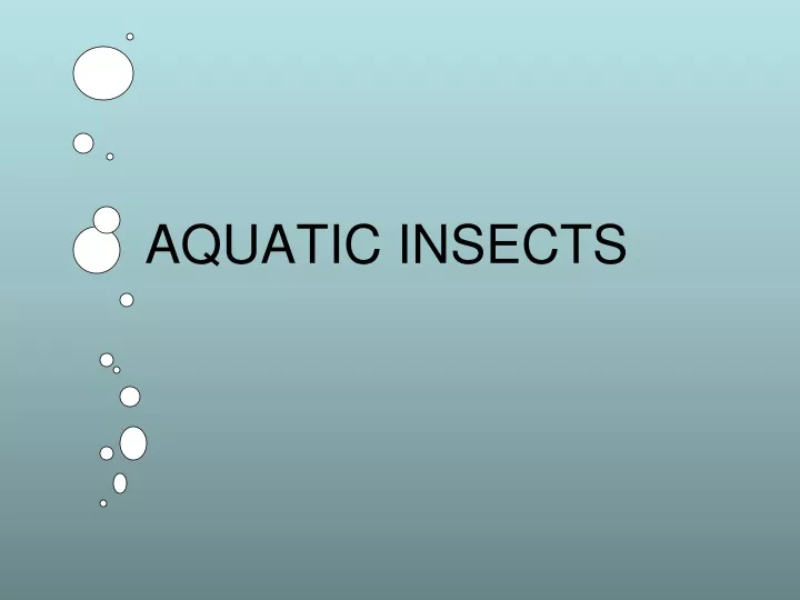 aquatic insects