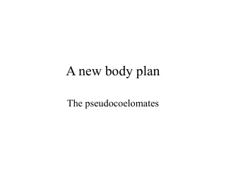 A new body plan