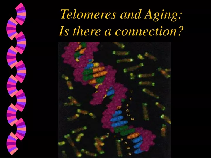 telomeres and aging is there a connection