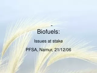 Biofuels:  Issues at stake PFSA, Namur, 21/12/06