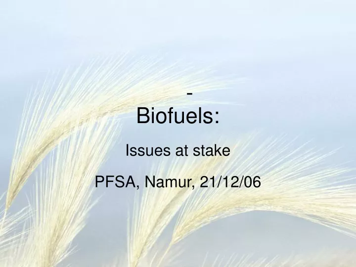 biofuels issues at stake pfsa namur 21 12 06
