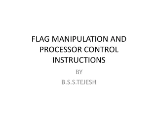 FLAG MANIPULATION AND PROCESSOR CONTROL INSTRUCTIONS