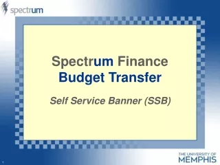 Spectr um  Finance Budget Transfer