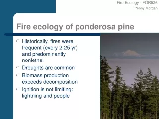 Fire ecology of ponderosa pine