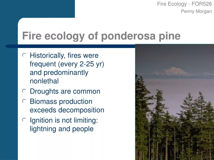 fire ecology of ponderosa pine