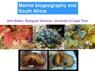 Marine biogeography and South Africa