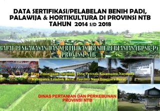 BALAI PENGAWASAN DAN SERTIFIKASI BENIH  PERTANIAN  (BPSB - P) PROVINSI NTB