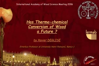 Has Thermo-chemical  Conversion of Wood  a Future ? by Xavier DEGLISE