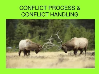 CONFLICT PROCESS &amp; CONFLICT HANDLING